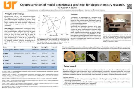 Cryopreservation of model organisms: a great tool for biogeochemistry research. *E. Paredes1, P. Mazur1 Fundamental and applied Cryobiology group. Biochemistry,