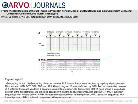 From: The Rd8 Mutation of the Crb1 Gene Is Present in Vendor Lines of C57BL/6N Mice and Embryonic Stem Cells, and Confounds Ocular Induced Mutant Phenotypes.