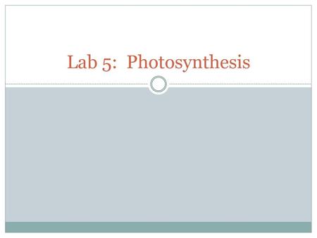 Lab 5: Photosynthesis.