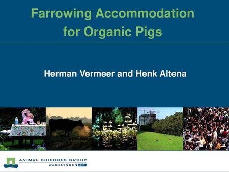 Farrowing Accommodation for Organic Pigs