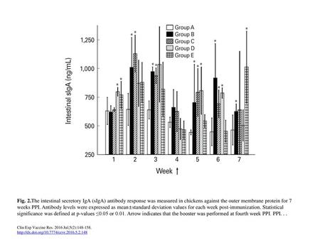 Fig. 2.The intestinal secretory IgA (sIgA) antibody response was measured in chickens against the outer membrane protein for 7 weeks PPI. Antibody levels.