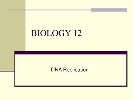 BIOLOGY 12 DNA Replication.