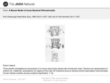 Copyright © 1998 American Medical Association. All rights reserved.