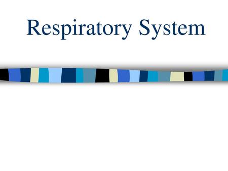 Respiratory System.