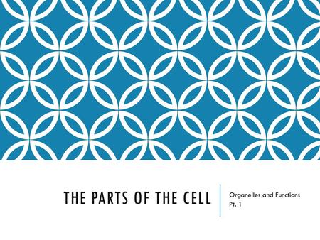 Organelles and Functions Pt. 1