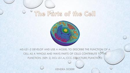 The Parts of the Cell MS-LS1-2 Develop and use a model to describe the function of a cell as a whole and ways parts of cells contribute to the function.