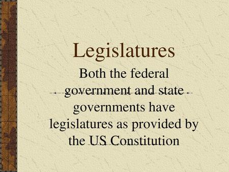 Legislatures Both the federal government and state governments have legislatures as provided by the US Constitution.