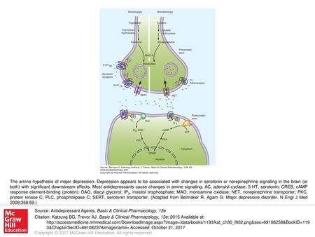 The amine hypothesis of major depression