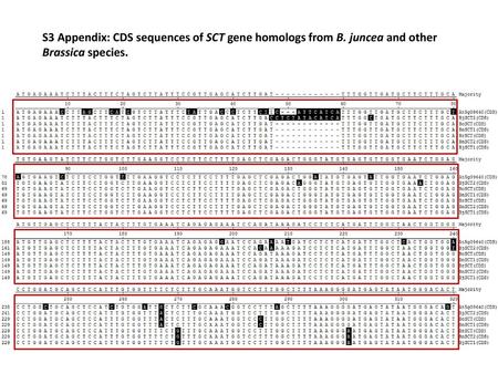 S3 Appendix: CDS sequences of SCT gene homologs from B