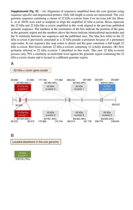 22 kDa a-coixin gene cluster