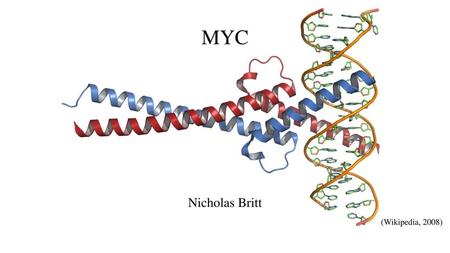 MYC From: Wikipedia Nicholas Britt (Wikipedia, 2008)