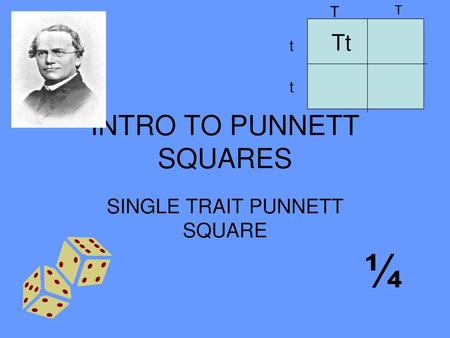 INTRO TO PUNNETT SQUARES