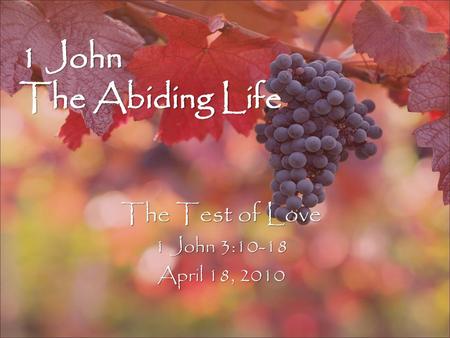 The Test of Love 1 John 3:10-18 April 18, 2010