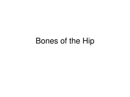 Bones of the Hip.