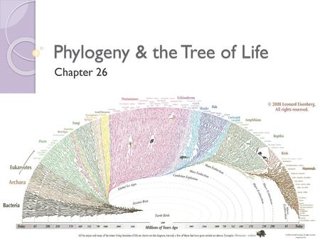 Phylogeny & the Tree of Life