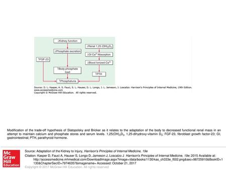 Modification of the trade-off hypothesis of Slatopolsky and Bricker as it relates to the adaptation of the body to decreased functional renal mass in an.