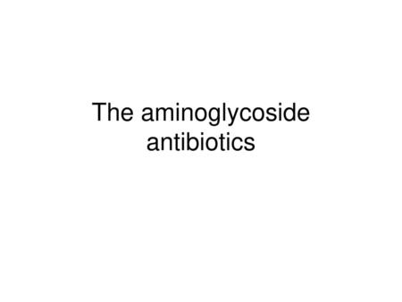 The aminoglycoside antibiotics