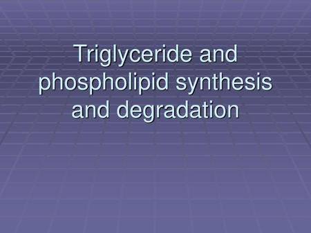 Triglyceride and phospholipid synthesis and degradation