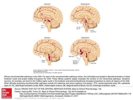 Diffuse neurotransmitter pathways in the CNS