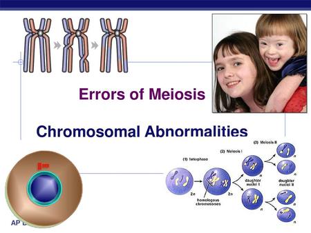 Chromosomal Abnormalities