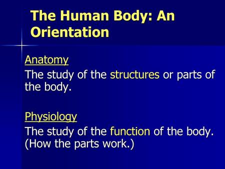 The Human Body: An Orientation