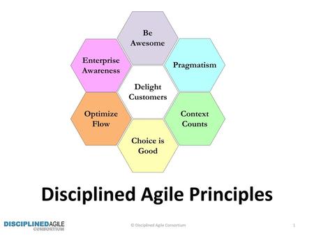 Disciplined Agile Principles