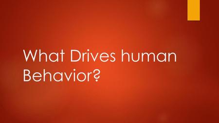 What Drives human Behavior?