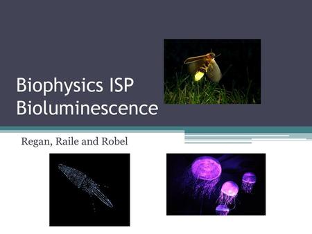 Biophysics ISP Bioluminescence