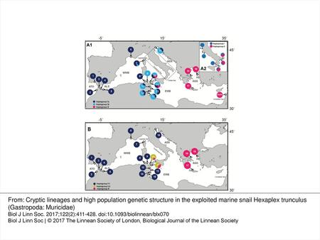 Figure 1. Map showing the sampling sites of Hexaplex trunculus