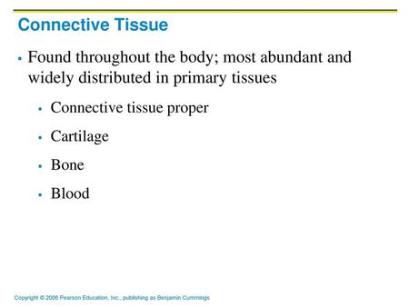 Connective Tissue Found throughout the body; most abundant and widely distributed in primary tissues Connective tissue proper Cartilage Bone Blood.