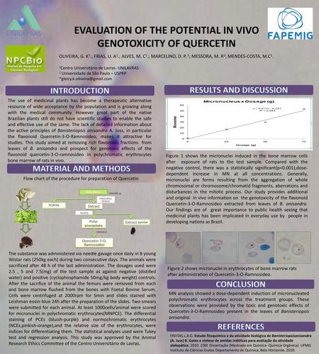 EVALUATION OF THE POTENTIAL IN VIVO GENOTOXICITY OF QUERCETIN