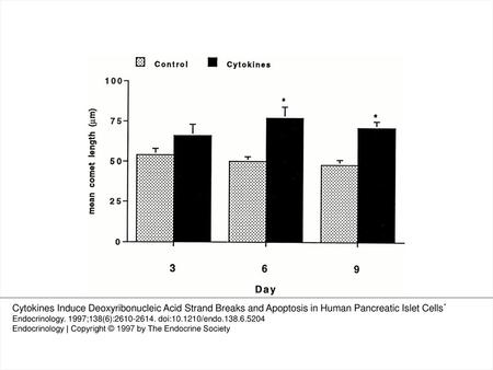 Figure 1. DNA damage following treatment of human islets with and without a combination of three cytokines (IL-1β, 50 U/ml + TNF-α, 1000 U/ml + IFN-γ,