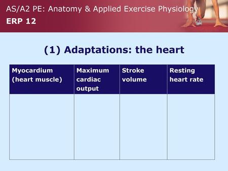 (1) Adaptations: the heart