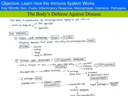 The Body’s Defense Against Disease