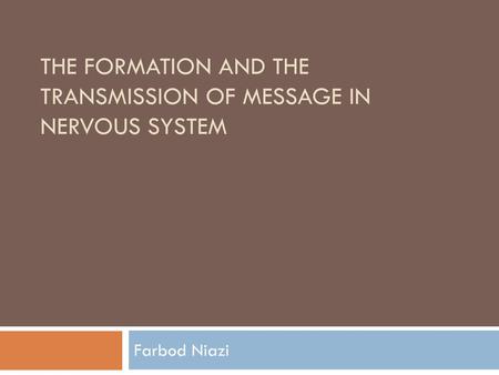 The formation and the transmission of message in nervous system