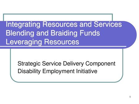 Strategic Service Delivery Component Disability Employment Initiative