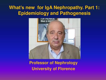 What’s new for IgA Nephropathy. Part 1: Epidemiology and Pathogenesis