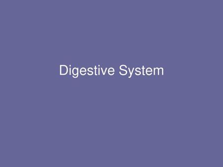 Digestive System.