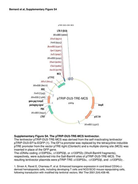 Bernard et al, Supplementary Figure S4