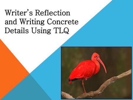 Writer’s Reflection and Writing Concrete Details Using TLQ