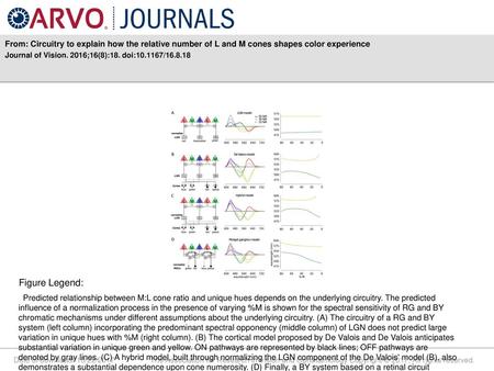 Journal of Vision. 2016;16(8):18. doi: / Figure Legend: