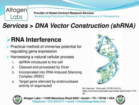 Telephone  512 433 6177  email  info@altogenlabs.com Provider of Global Contract Research Services Accelerating Preclinical Research, Drug Discovery.