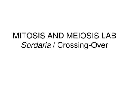 MITOSIS AND MEIOSIS LAB Sordaria / Crossing-Over