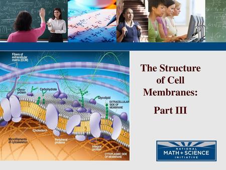 The Structure of Cell Membranes: