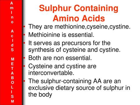 Sulphur Containing Amino Acids