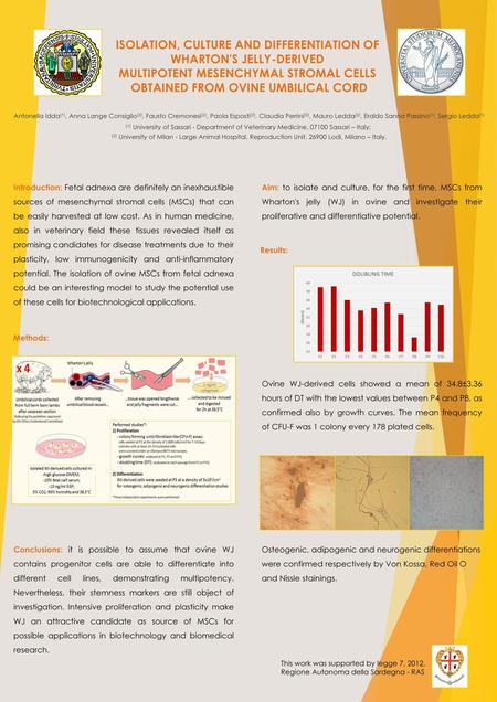 ISOLATION, CULTURE AND DIFFERENTIATION OF WHARTON'S JELLY-DERIVED