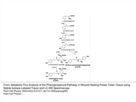 Fig. 1 Pathways for the biosynthesis of N-p-coumaroyloctopamine (p-CO) and chlorogenic acid (CGA) in potato tuber tissue. PAL, phenylalanine ammonia-lyase;