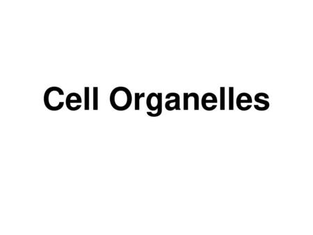 Cell Organelles.