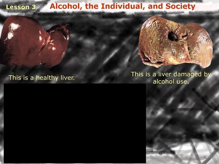 Alcohol, the Individual, and Society