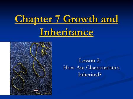 Chapter 7 Growth and Inheritance